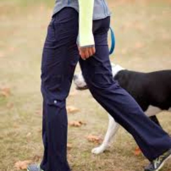 Lululemon Run: Dog Runner Pant Lined Colour: Black Swan Dark Purple Size 6 - Picture 1 of 10